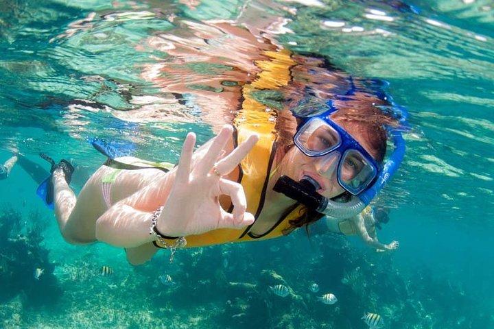 プエルト モレロスのターコイズ ブルーのカリブ海でシュノーケリング。交通費込み