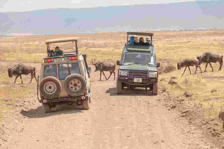 4-dagars grundläggande safari med Serengeti, Ngorongoro och Tarangire