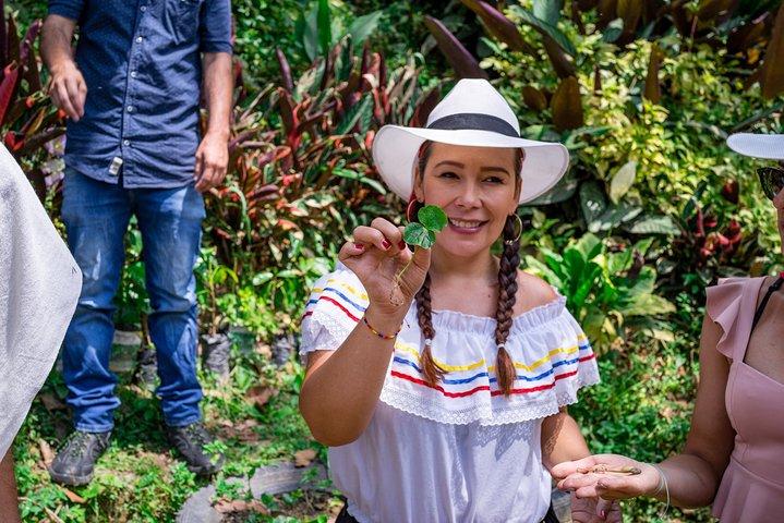 Visite du café à cheval et déjeuner à Medellin