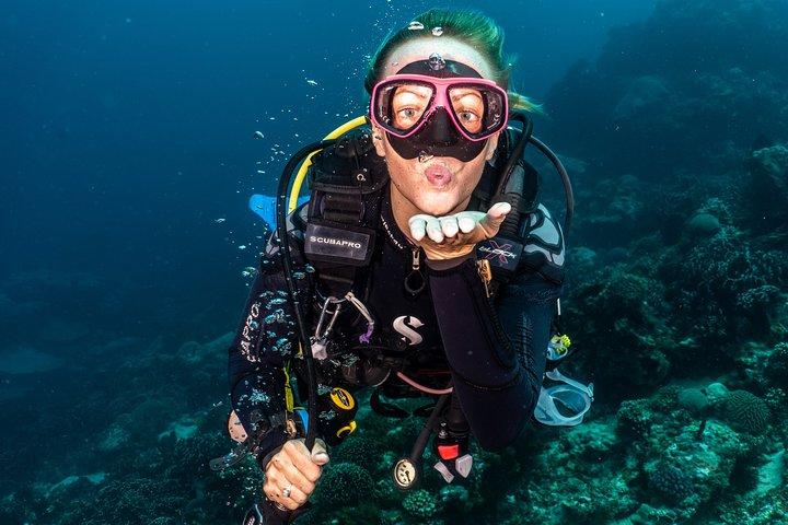 Day Trip certified divers - 3 Dives in Tulamben (pick-up & drop-off included)