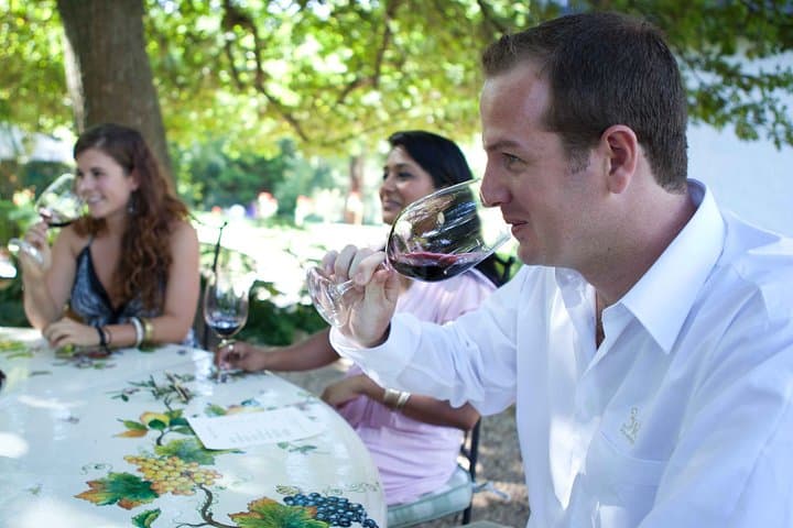 Private Full Day Stellenbosch Wine Tour with Pick Up and Drop Off
