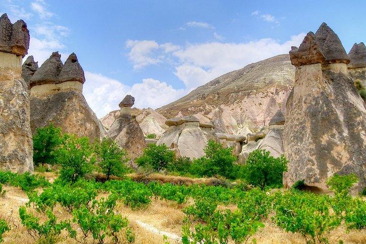 For Cruisers: 5 Days Istanbul & Cappadocia Trip - Including Hot Air Balloon Ride