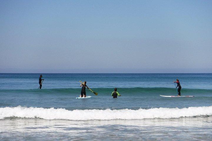 Cours de Stand Up Paddle - Vagues de 2h