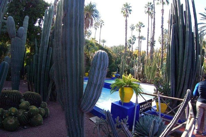 Marrakech hele dagen guidet tur