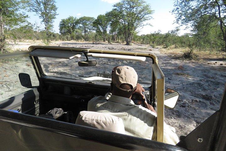 Sendero desierto de 3 días: Moremi, Khwai y Delta del este de Okavango - WildCamping Safari