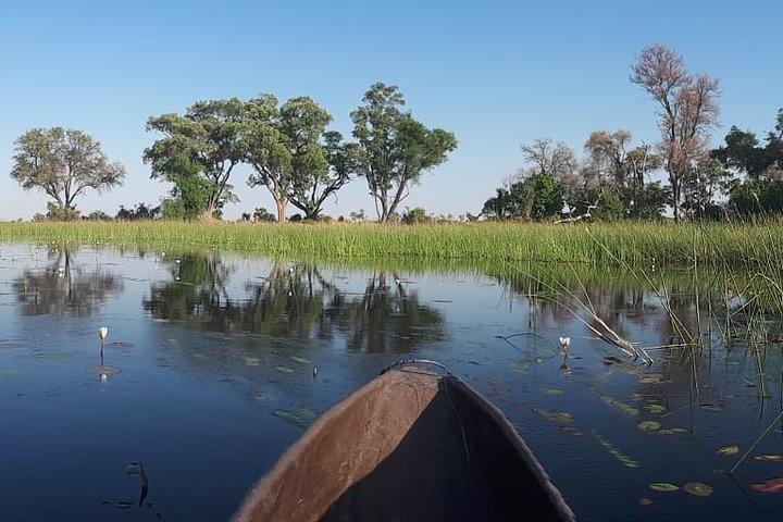 Johannesburg oder Gaborone nach Maun: 5-tägige Nashorn-, Diamanten- und Okavango-Delta-Tour