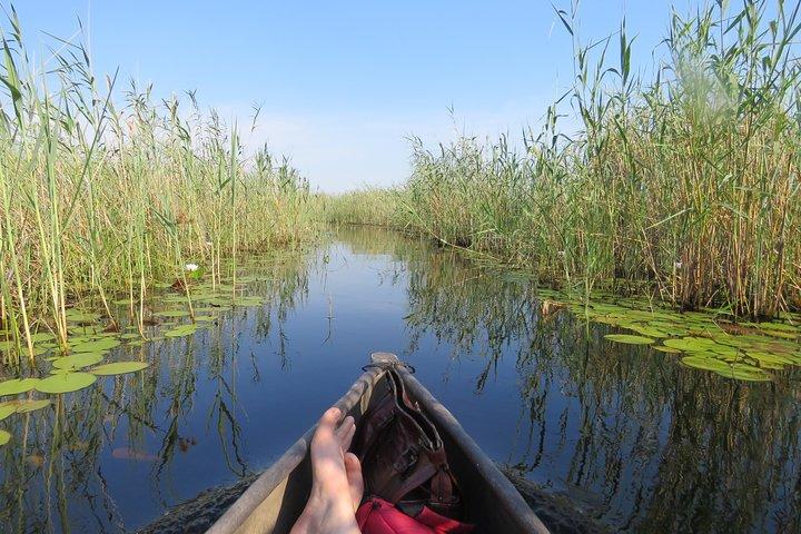 Tour de 2 noches por el Delta del Okavango Mokoro WildCamping, todo incluido