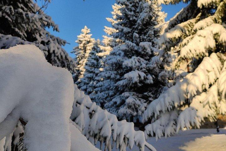 Private Snowshoeing Vitosha for 1 day