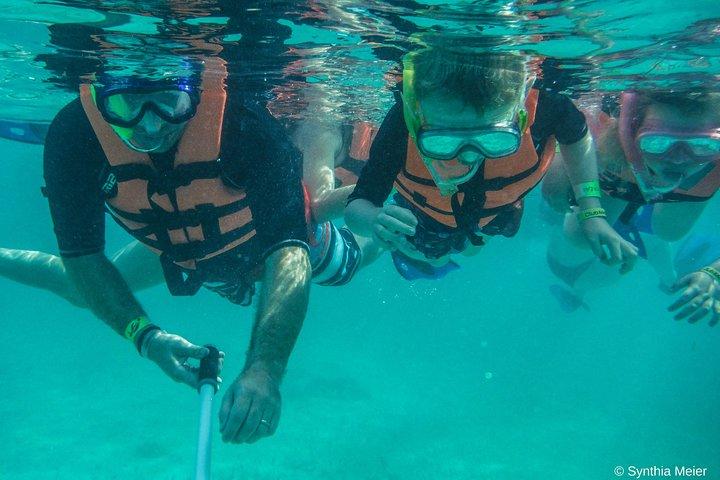 Tour privado de snorkel con tortugas marinas