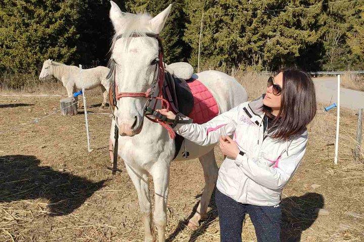 トラキアの精神でバラの谷に乗って乗馬