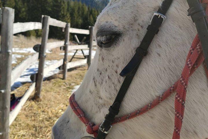 Montar a caballo en el valle de las rosas en espíritu tracio