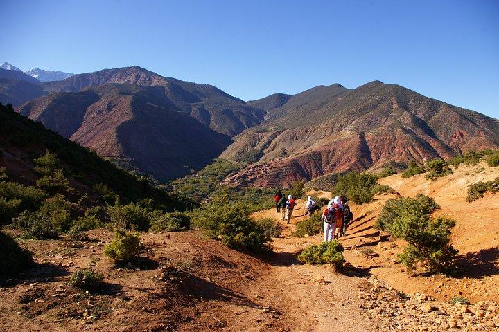 Private Day Trip to the Zat Valley from Marrakech.
