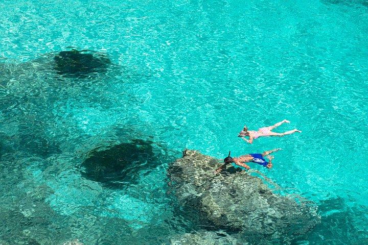 カプリ島とソレント海岸のプライベートセーリング旅行