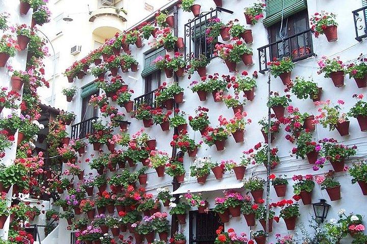 Cordoba city privat tur från Sevilla inklusive den stora moskén