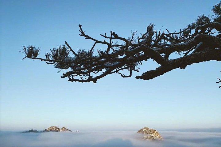 Tour privato di 3 giorni con escursione sul Monte Huangshan e Tunxi Ancient Street