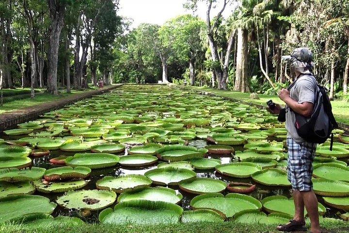 モーリシャスの北ツアー