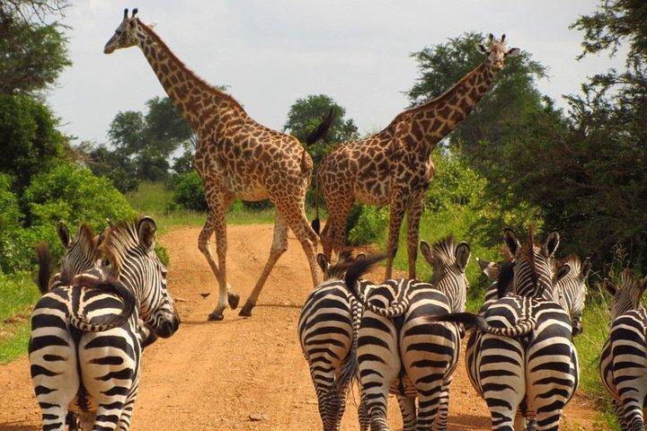 Het avontuur in Noord-Tanzania