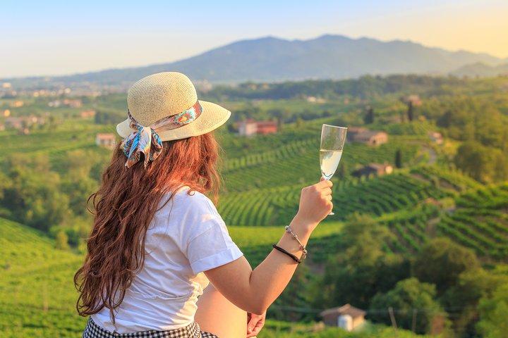 Excursão Premium Prosecco Hills Winery com degustações de Prosecco e comida