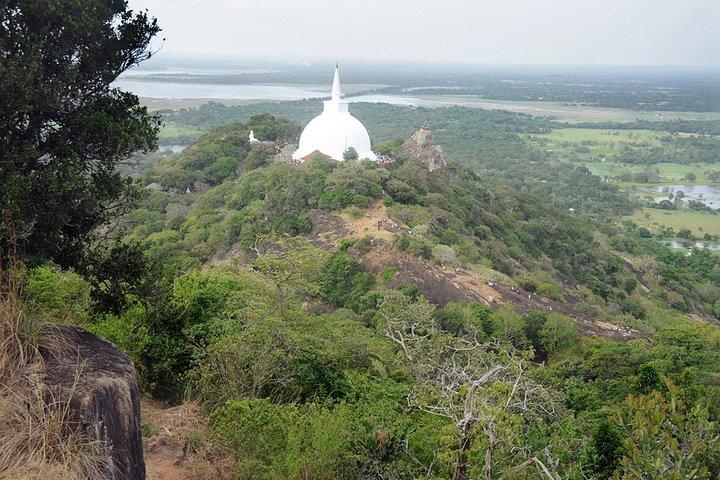 Viagem de um dia de Anuradhapura a Mihintale - Tuk Tuk Tour