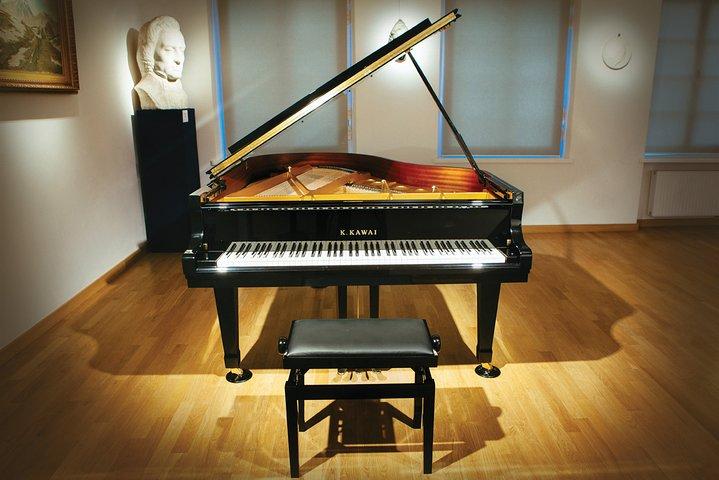 Dagligt live klaver Chopins koncerter kl. 18.30 i Warszawa Erkebispedømmer Museum