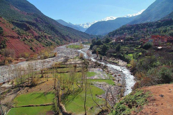 Private Day Trip To Atlas Mountains (Berber Trails) (4 Valleys)