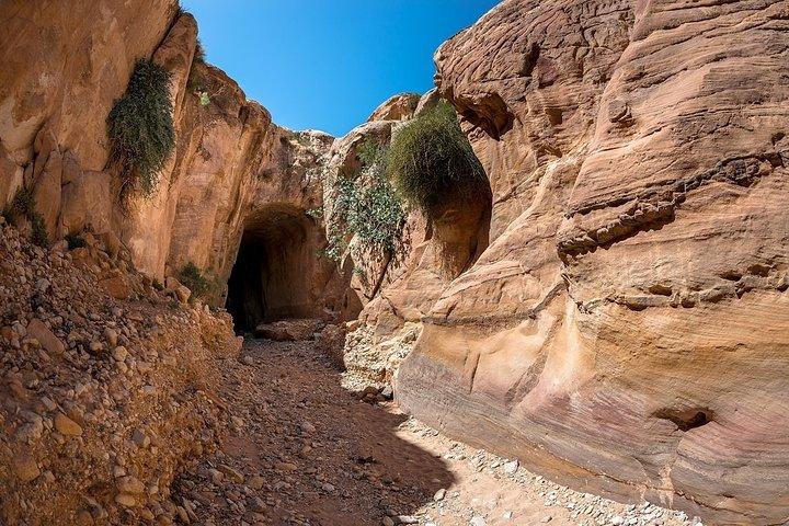 Trilhas Guiadas de Petra (Trilha Wadi Mudhluim)
