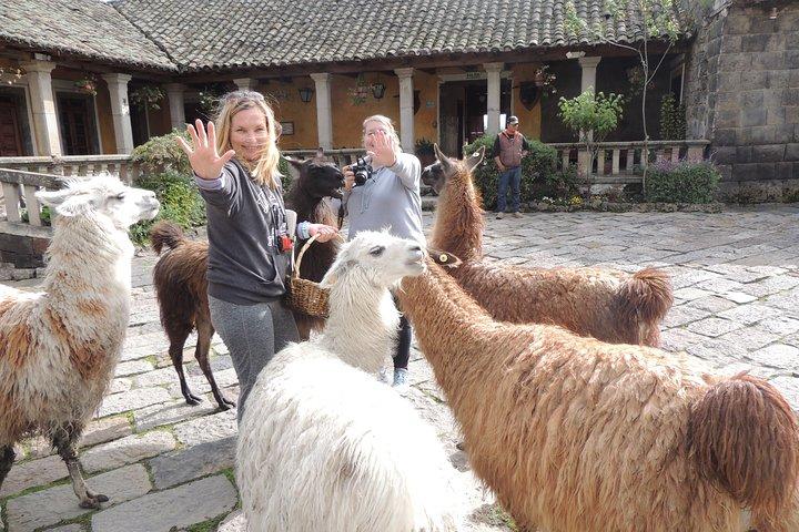 Cotopaxi National Park en Inca Ruins Day Trip