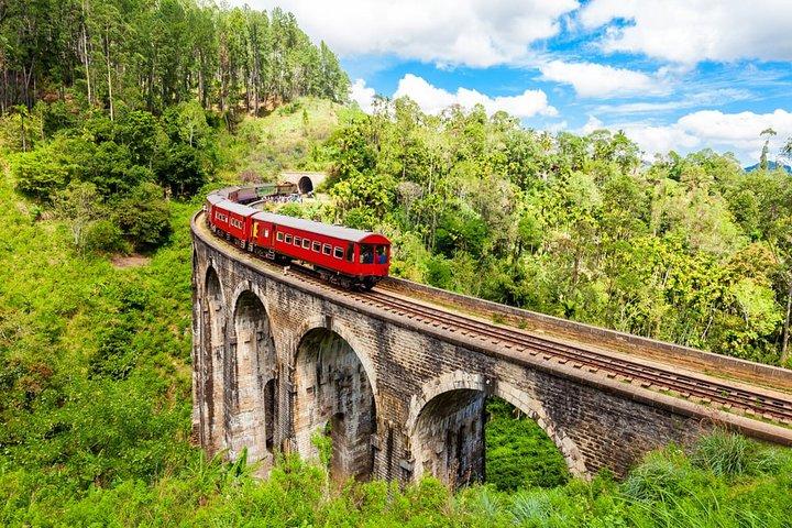 Private Hiking Adventure to the Little Adam’s Peak And Nine Arches Bridge.
