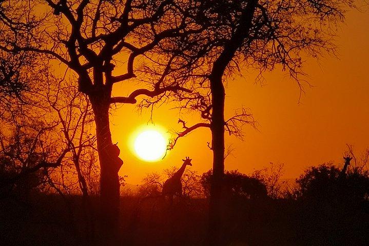 Parque Nacional Kruger - Viagem ao Sunset Safari.