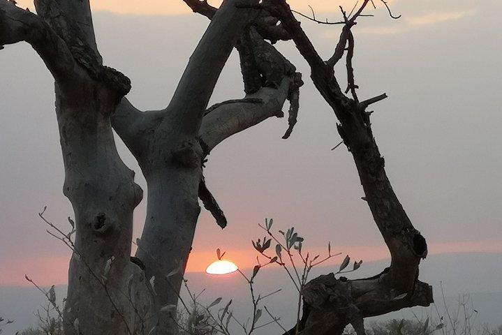 Krüger-Nationalpark – Sonnenuntergangs-Safari.