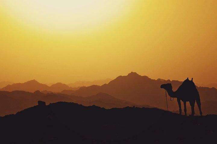 Tour van Marrakech naar Agafay Desert Sunset & Camel ride