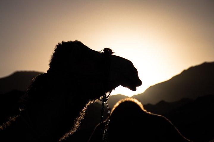 Agafay Desert sunset Camel ride and dinner Experience