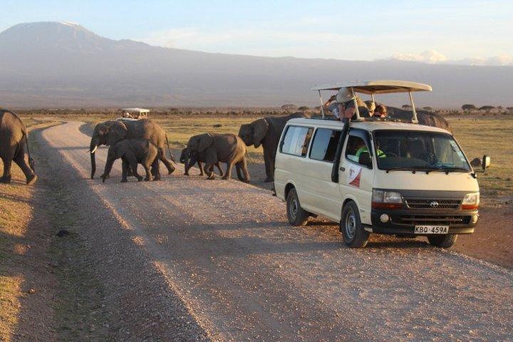 3-daagse Masai Mara Safari (middenklasse accommodatie)