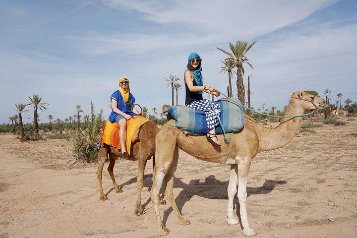Marrakech Experience: PalmGrove Camel Ride Excursion