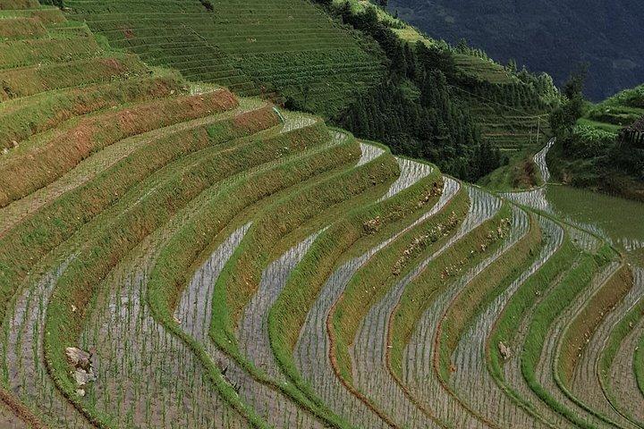 Excursão privada de 7 dias de Chongqing a Guilin, Terraços Longji, Sanjiang e Yangshuo