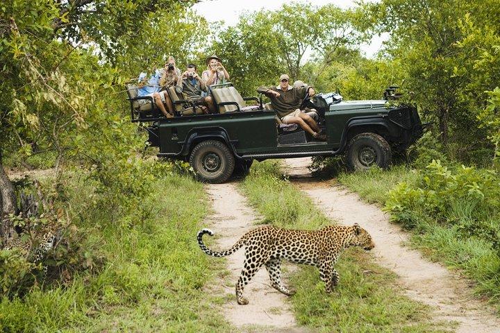 Durban : Big 5 Safari - Open Safari Vehicle im Exklusivreservat