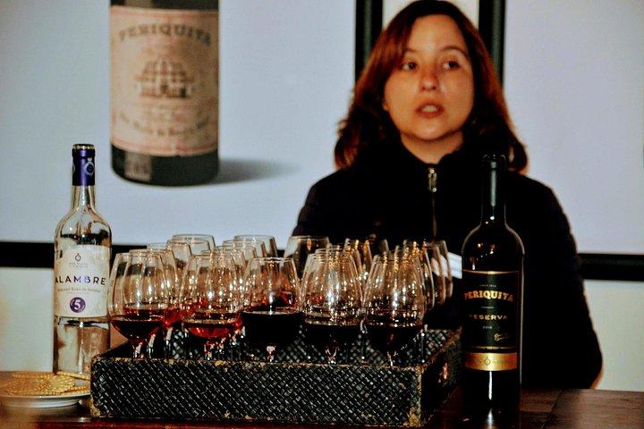 Arrábida Schnorcheln & Wein