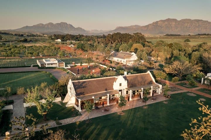 Full day South African Wine Tour (Stellenbosh, Franschhoek and Paarl)
