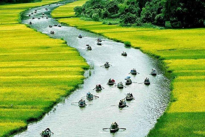 Excursion privée d'une journée à l'ancienne citadelle de Hoa Lu et à Tam Coc au départ de Hanoi