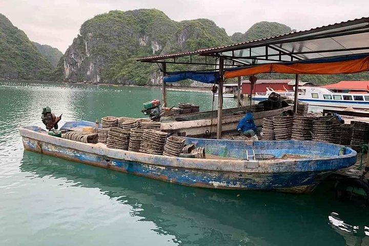 Hele dag Ha Long Bay & Lan Ha Bay Cruise met hotelovername