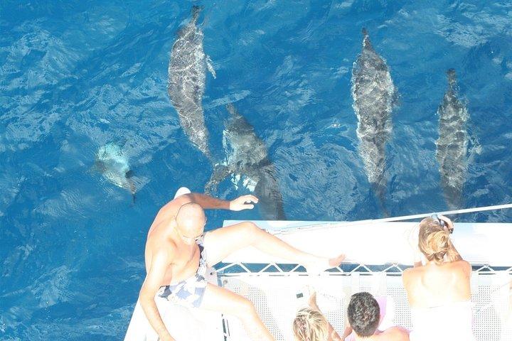 Sailing Catamaran Cruises