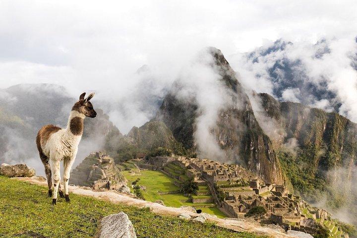 15 Tage Rätsel des Südens ab Lima