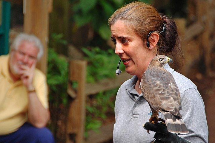Skip the Line: Flamingo Gardens Admission Ticket in Fort Lauderdale