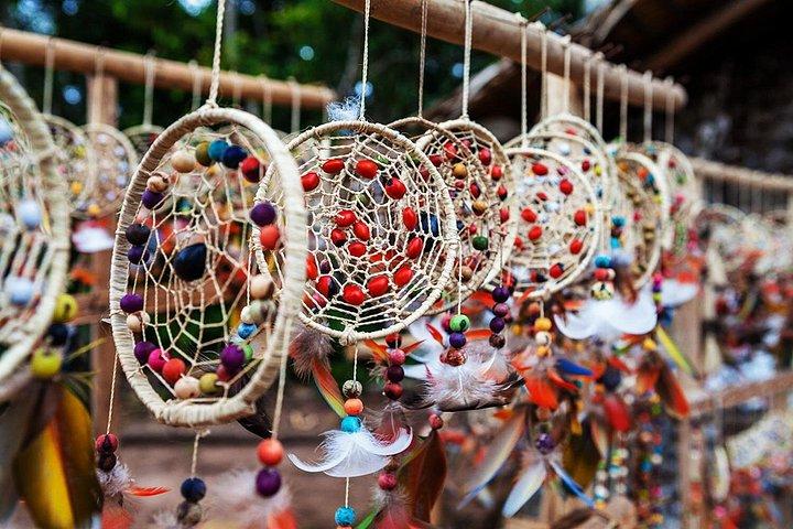 アマゾン体験: 原住民の村と出会い、ネズミイルカと一緒に泳ぐ