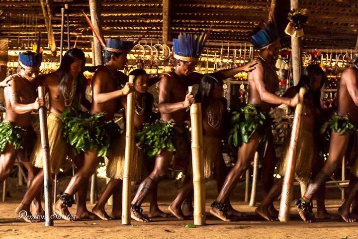 アマゾン体験: 原住民の村と出会い、ネズミイルカと一緒に泳ぐ