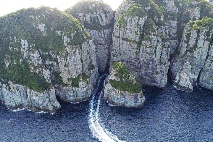 4Day Private Tour från Busan till Seoul, Gyeongju, Tongyeong, Oedo-Botania