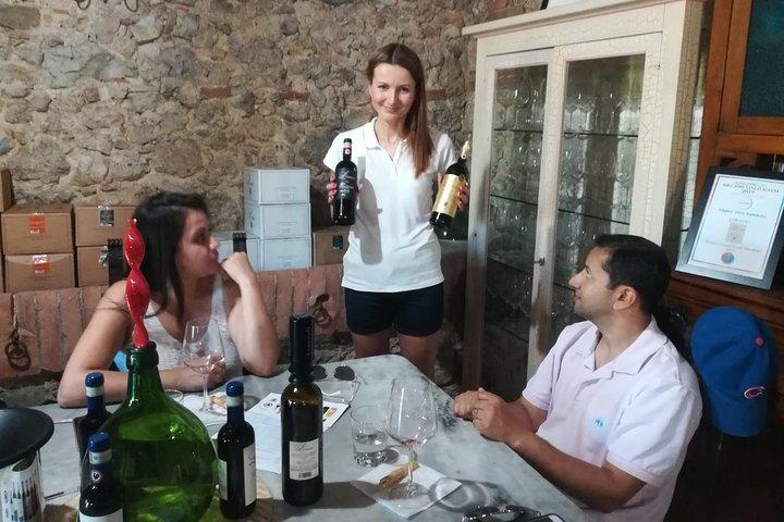 Livorno Port Shor Excursie: Siena San Gimignano lunch en wijnproeverij