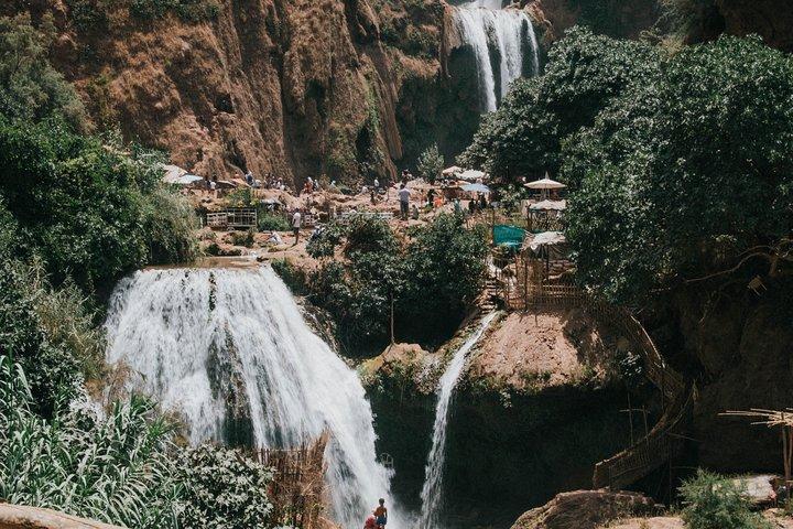 Marrakesh to Ouzoud Falls: Private Day Trip