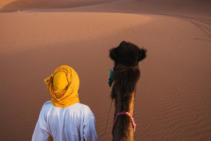 Tour combinato: tour di 5 giorni sulle montagne dell'Atlante e nel deserto del Sahara