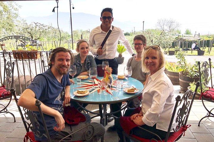Pompeji Skip-the-Line mit Mittagessen und Weinprobe aus Rom